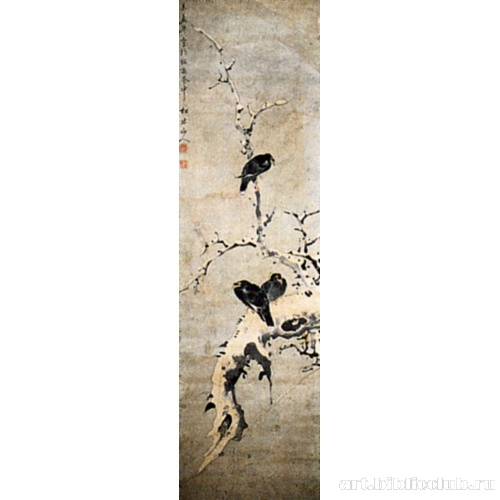 Сороки в снегу