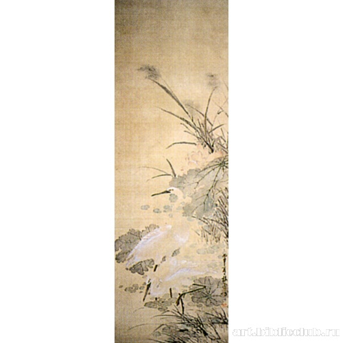 Белые цапли