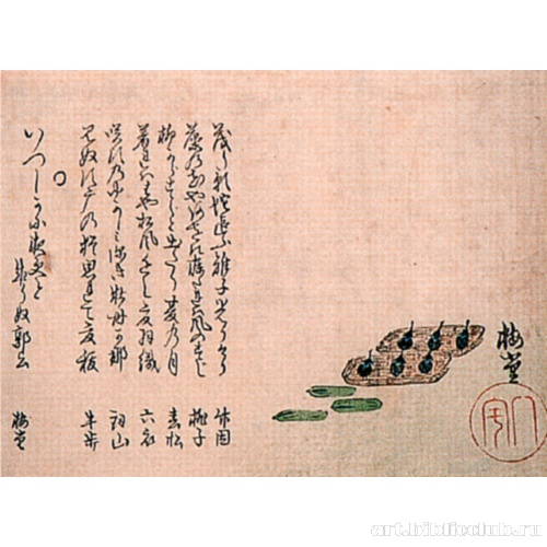 Баклажаны и огурцы