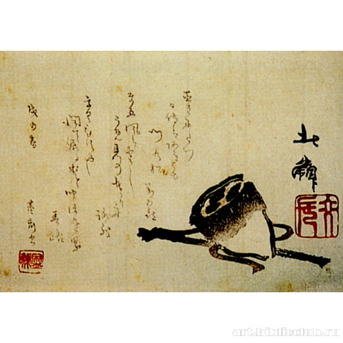 Стручок лотоса