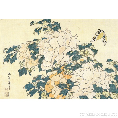 Пионы и бабочка