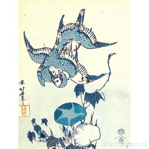 Воробьи и вьюнок