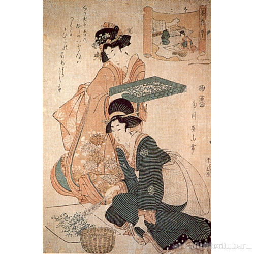 Первый лист из серии «Выращивание тутового шелкопряда»