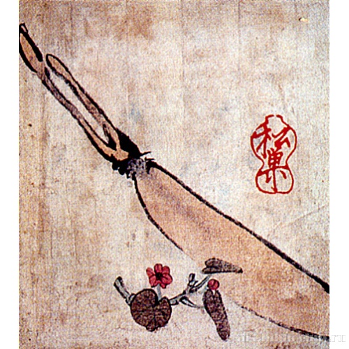 Корень лотоса и бегония