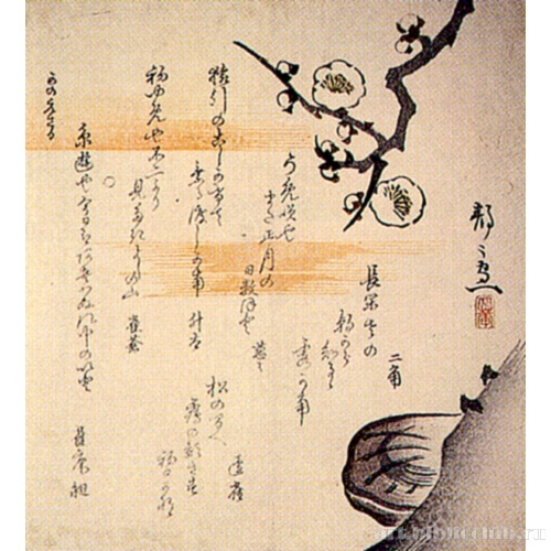 Слива и древесный гриб