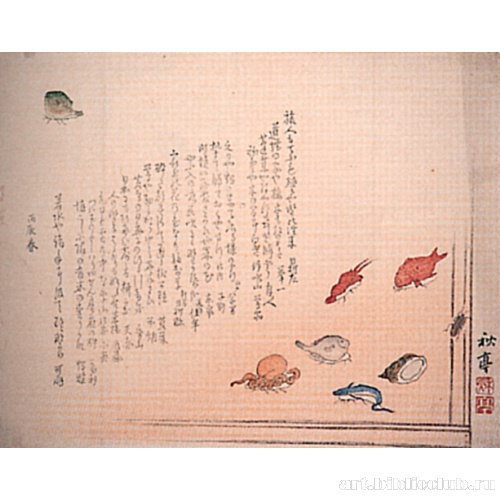 Различные виды рыб