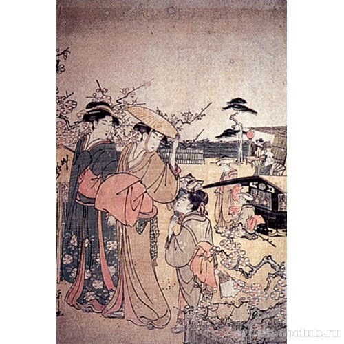 Усадьба слив в Комэйдо