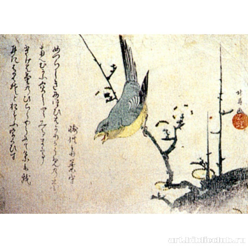 Камышовка на ветке сливы