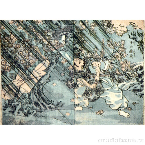 Книга иллюстраций Куниеси