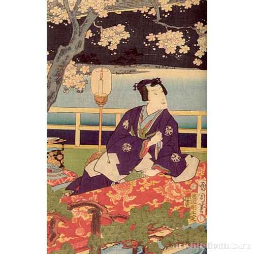 Любование цветением сакуры