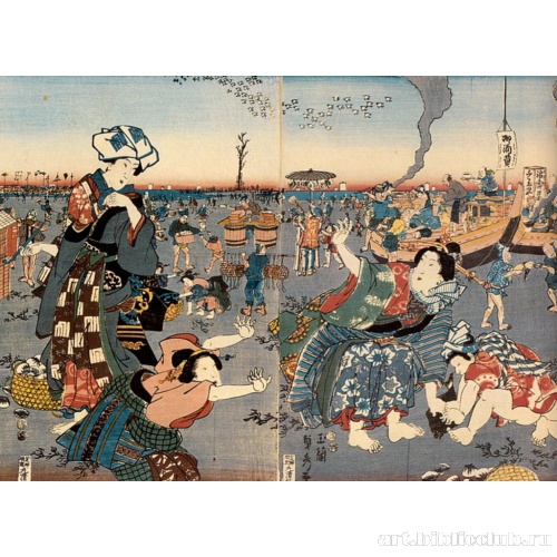 Собирание раковин во время отлива