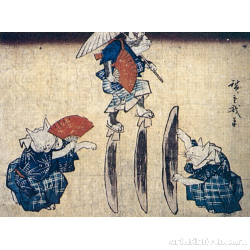 Коты-акробаты