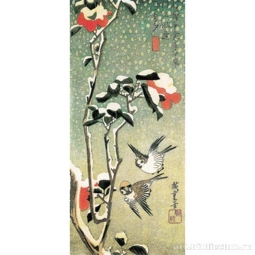 Воробьи над покрытой снегом камелией