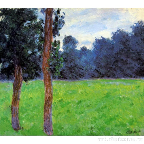 Два дерева на лугу