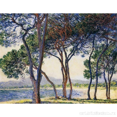 Деревья на берегу моря в Антибе