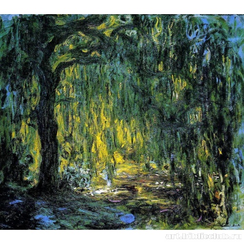 Плакучая ива