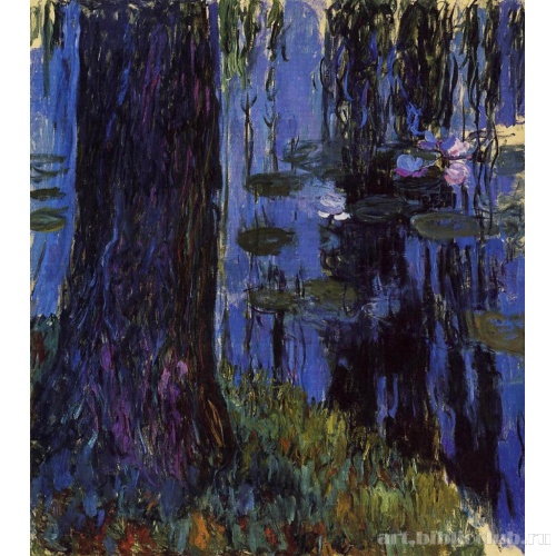 Плакучая ива и кувшинка