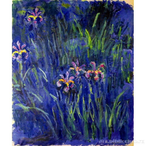 Ирисы