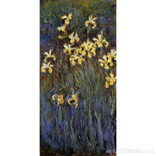 Ирисы в Живерни