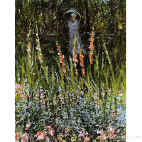 Сад с гладиолусами