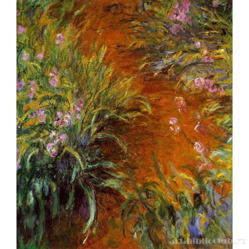 Тропа и ирисы