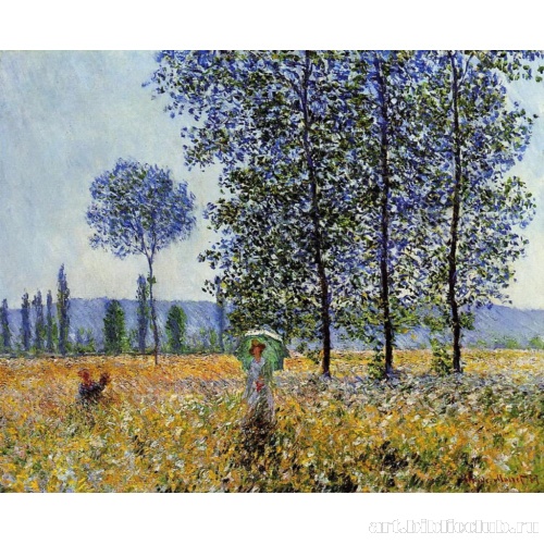 Солнечный свет под тополями