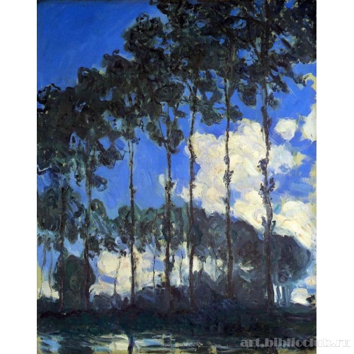 Тополя на берегу реки Эпта