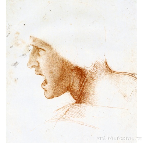 Голова война