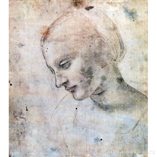 Зарисовка женской головы