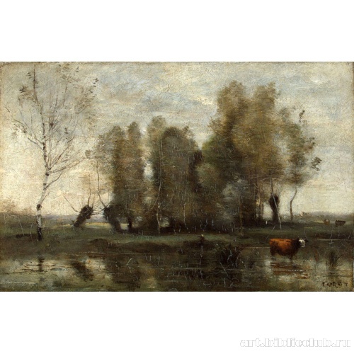 Деревья среди болота