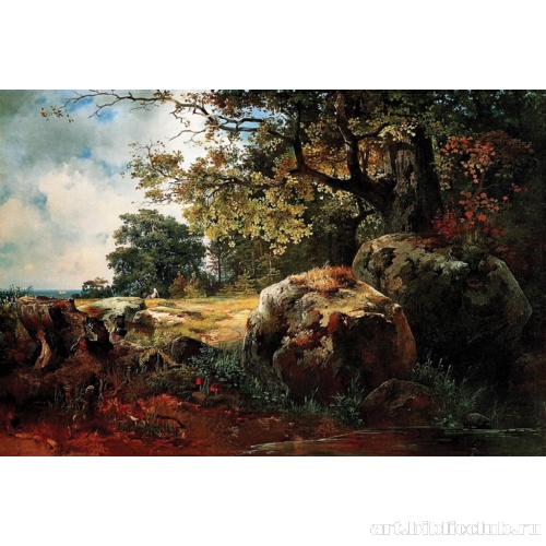 Вид в окрестностях Ораниенбаума