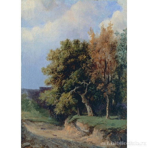 Пейзаж с дорогой