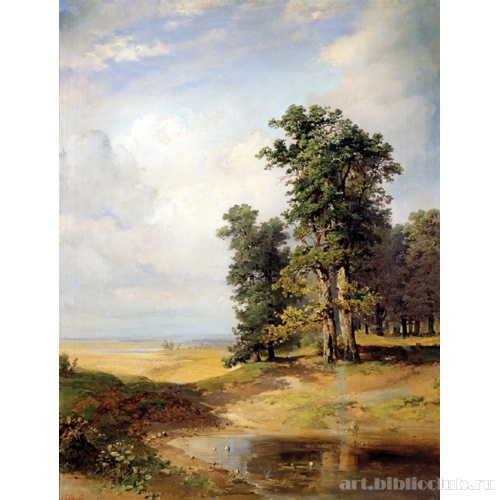 Летний пейзаж с дубами