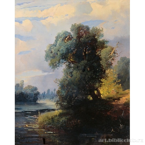 Летний день. Деревья на берегу реки