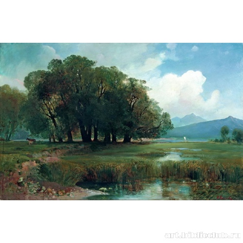 Швейцарский пейзаж с лошадьми