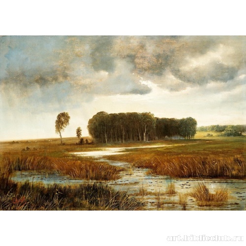 Пейзаж с болотом и лесистым островом