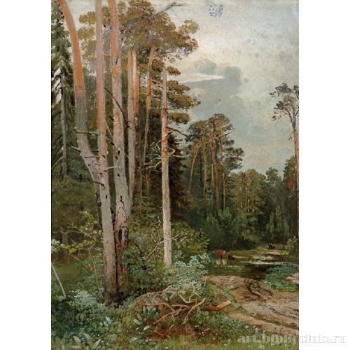 Лесная дорога в Сокольниках