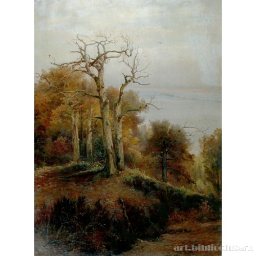 Осенний лес. Кунцево. Проклятое место