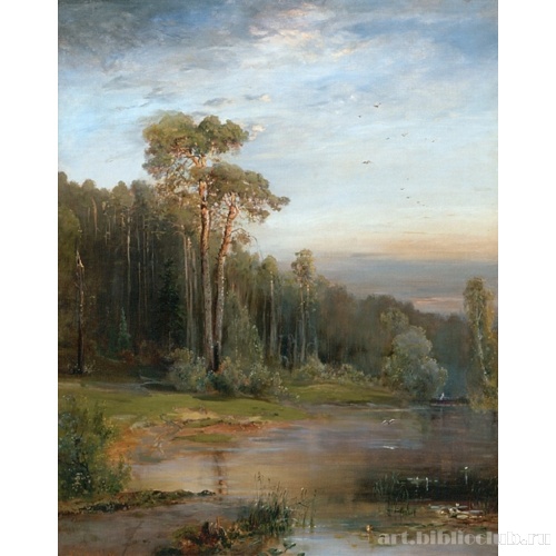 Летний пейзаж с соснами у реки