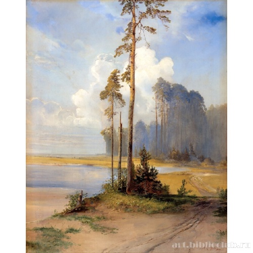 Летний пейзаж. Сосны