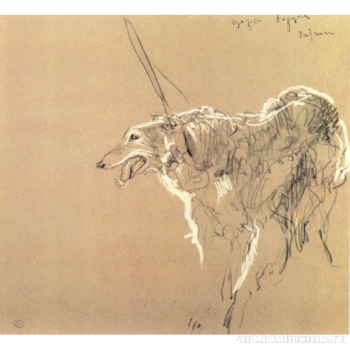 Борзая царской охоты