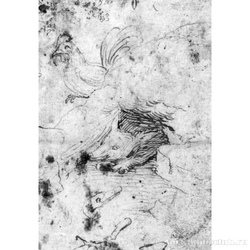 Наброски животных