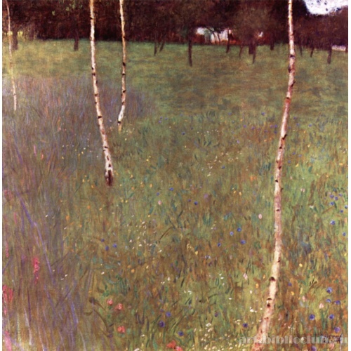 Сельский дом с березами (Молодые березы)