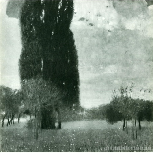 Большой тополь