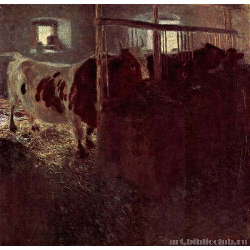 Коровы в коровнике