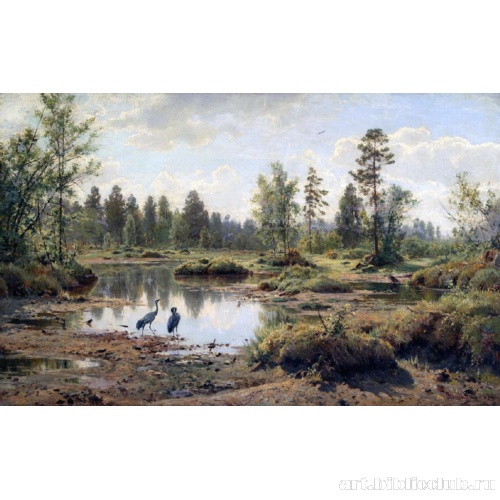 Болото. Журавли