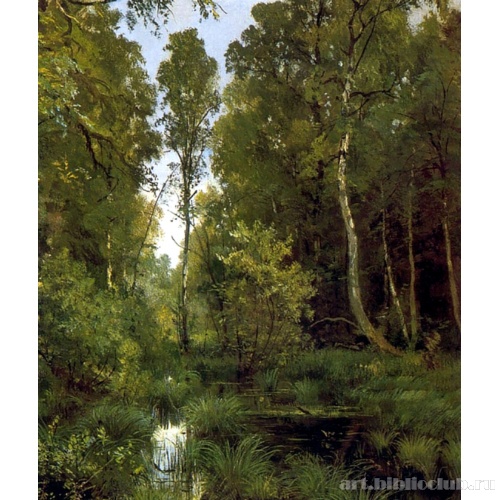 Заросший пруд у опушки леса