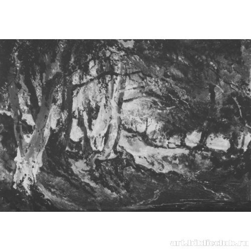 Буковый лес