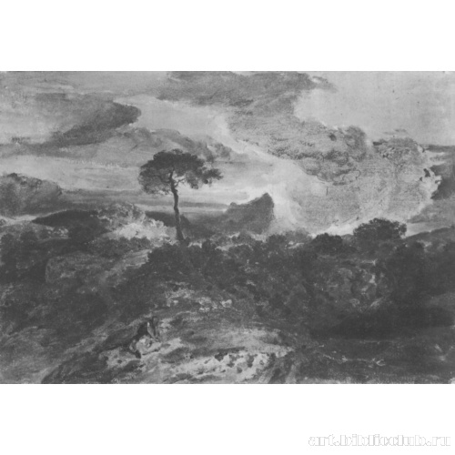 Дикая местность с людьми на закате