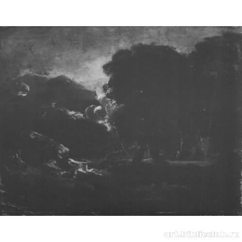 Сумрачная местность с деревьями и горами